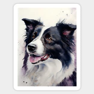 Black and White Border Collie Watercolor Portrait Sticker